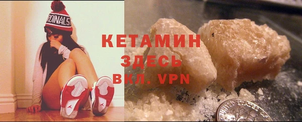 прущие грибы Верхний Тагил