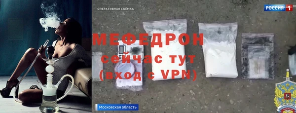 шишки Верея
