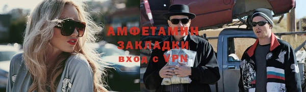 прущие грибы Верхний Тагил