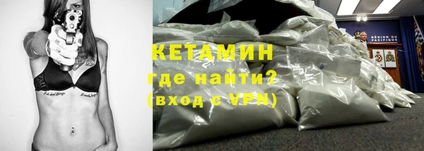 шишки Верея