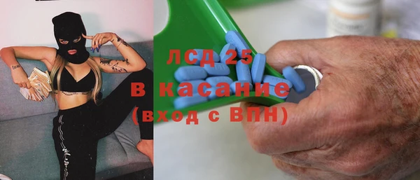 шишки Верея