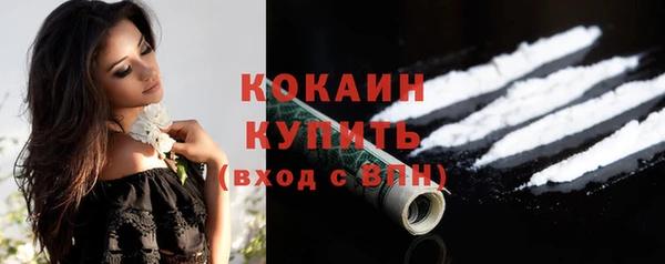 прущие грибы Верхний Тагил
