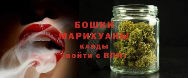 шишки Верея
