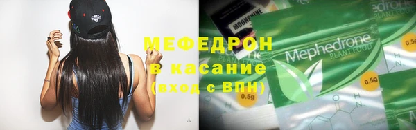 шишки Верея