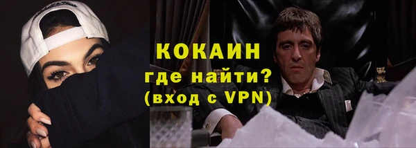 прущие грибы Верхний Тагил