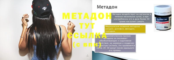 шишки Верея
