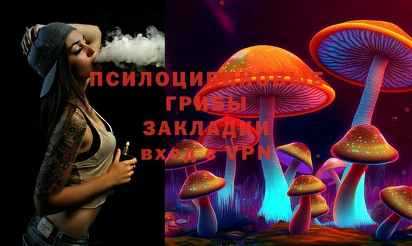 шишки Верея