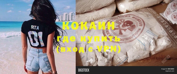 шишки Верея