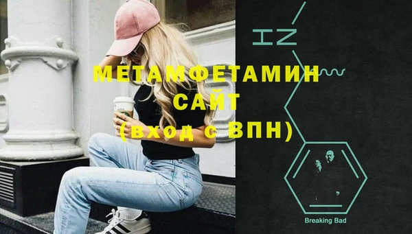 шишки Верея