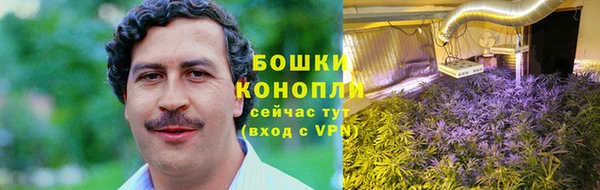 прущие грибы Верхний Тагил