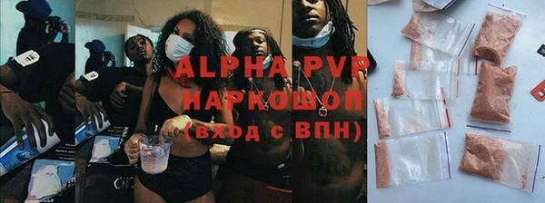 прущие грибы Верхний Тагил
