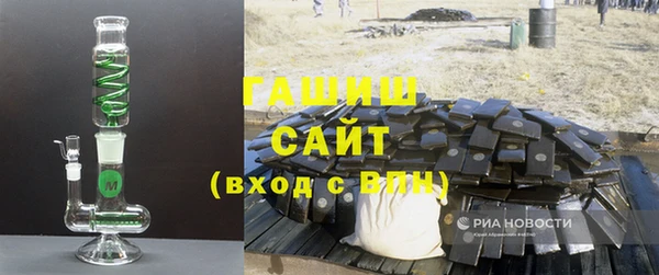 шишки Верея