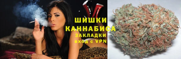 шишки Верея