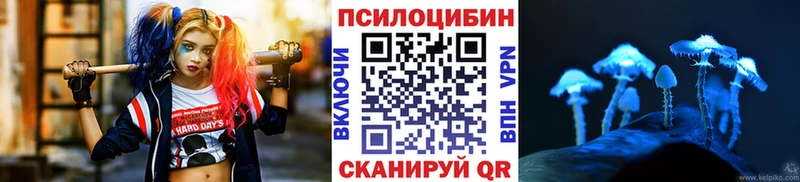 Галлюциногенные грибы Psilocybe Ростов