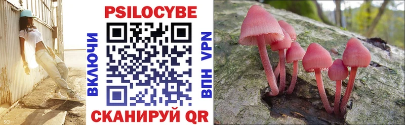 Псилоцибиновые грибы Psilocybine cubensis  Ростов 