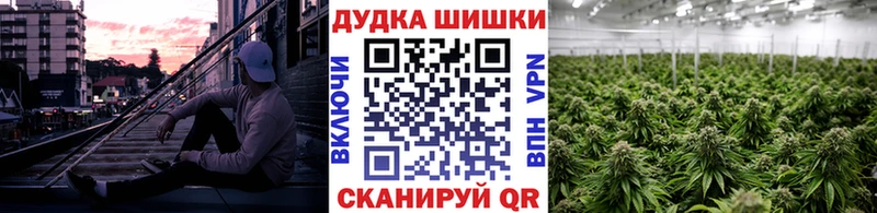 Бошки Шишки планчик  закладки  Ростов 